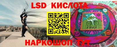 a pvp Камышлов