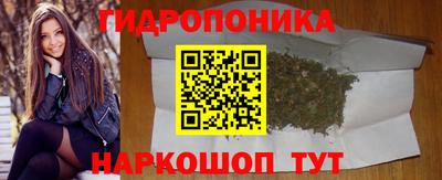 a pvp Камышлов