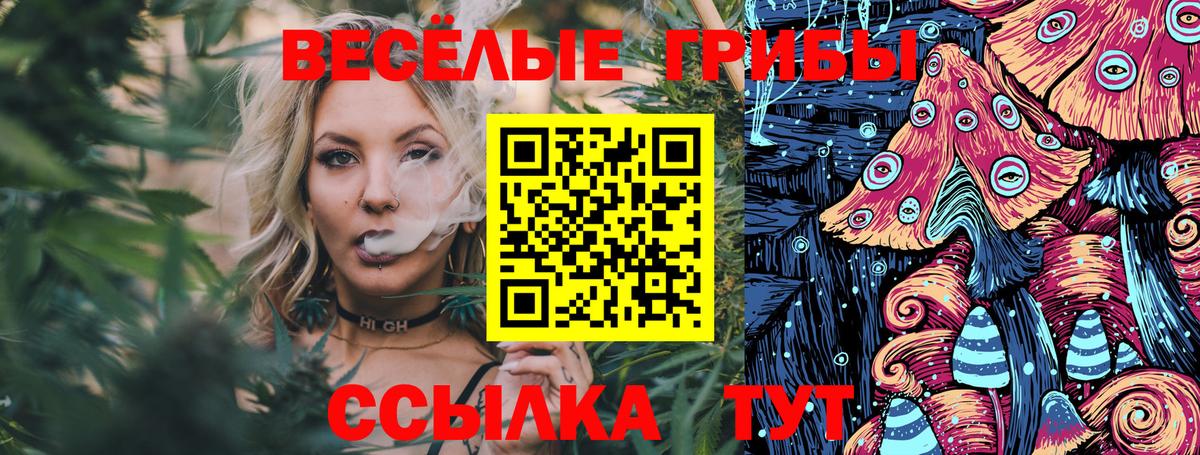 Псилоцибиновые грибы прущие грибы Чапаевск